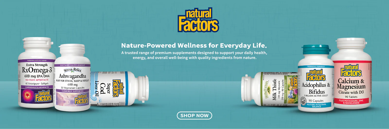 Your Ultimate Health & Wellness Hub